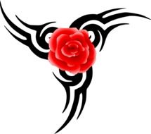 red rose flower patterns black