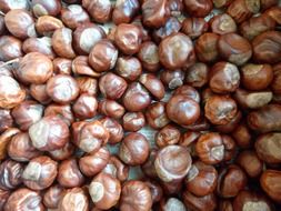 chestnut background quantitative