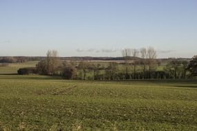 landscape nature meadow still life