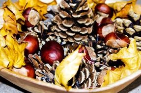 bowl with pine cones and autumn leaves