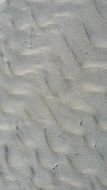 sand beach texture background