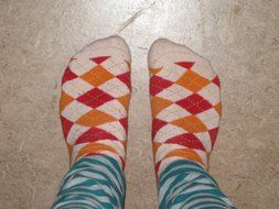feet socks checkered striped pants