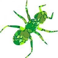 ant insect white background