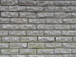 texture stone the background gray