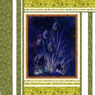 blue flowers tulip image frame