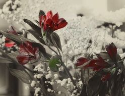 flower color floral blossom