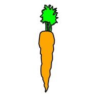 carrot vegetable simple healthy