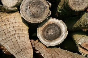 wood firewood storage
