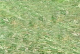 light green color pattern