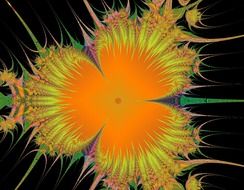 flower nature graphic fractal