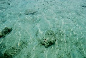 clear water nature clean