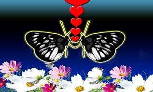 background with butterflies in love