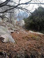 catalunya mountain in autumn