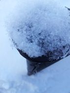 snow snowflakes large winter