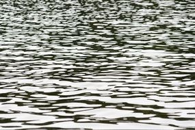 water lake texture wet surface