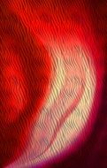 wavy red texture