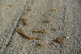 gravel road