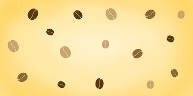 coffee brown beans bean