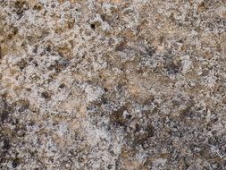 texture stone wall as background