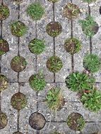 turf paving background grey
