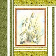 tulips pictures flower images