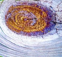 knot nebula constellation weathered