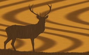oak walnut wood deer brown