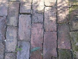 brick pavement in the garden