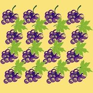 grapes background sheet leaves