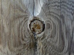 wood knot texture pine cracks