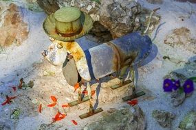 dog sheet stone hat background