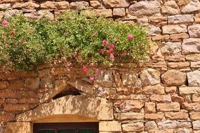 nature wall natural stones