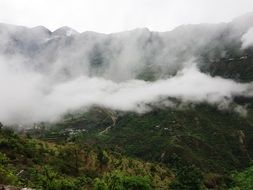 cloud mountain forest nature