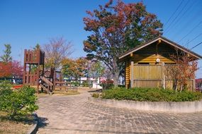 park in Japan in fall