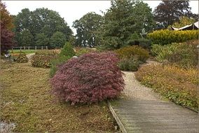 fall background park garden autumn