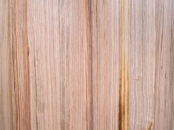 texture of wooden wall