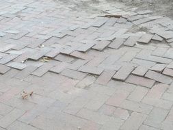 bricks pavement pattern footpath