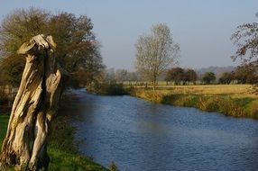 river outdoors nature tree stream