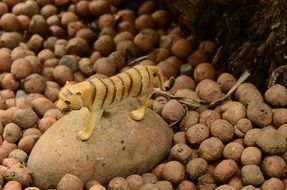 tiger rock stones nature