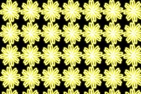flowers background yellow shining