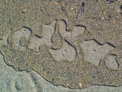 sand beach sea water pattern