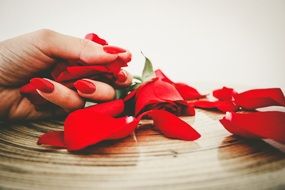 red nails petals fashion manicure