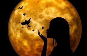 silhouette of woman on background of the moon and the birds
