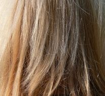blonde hair