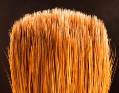 brush closeup