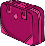 pink suitcase for paper storage