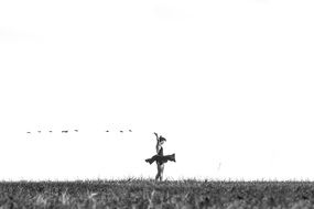 female ballet dancer on a meadow