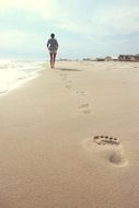 beach woman footprints summer
