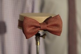 brown bow tie as a fashion accessory