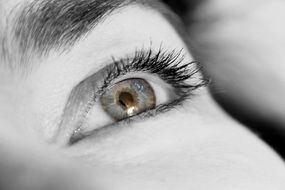 Close up photo of the eye